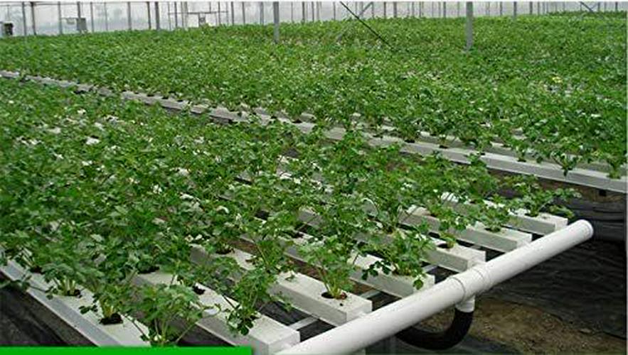 1.5 Inch Rockwool/Stonewool Grow Cubes Starter Sheets For Cuttings, Cloning, Plant Propagation, Seed Starting Hydroponic Grow Media Growing Medium For Vigorous Plant Growth (28, 1.5)